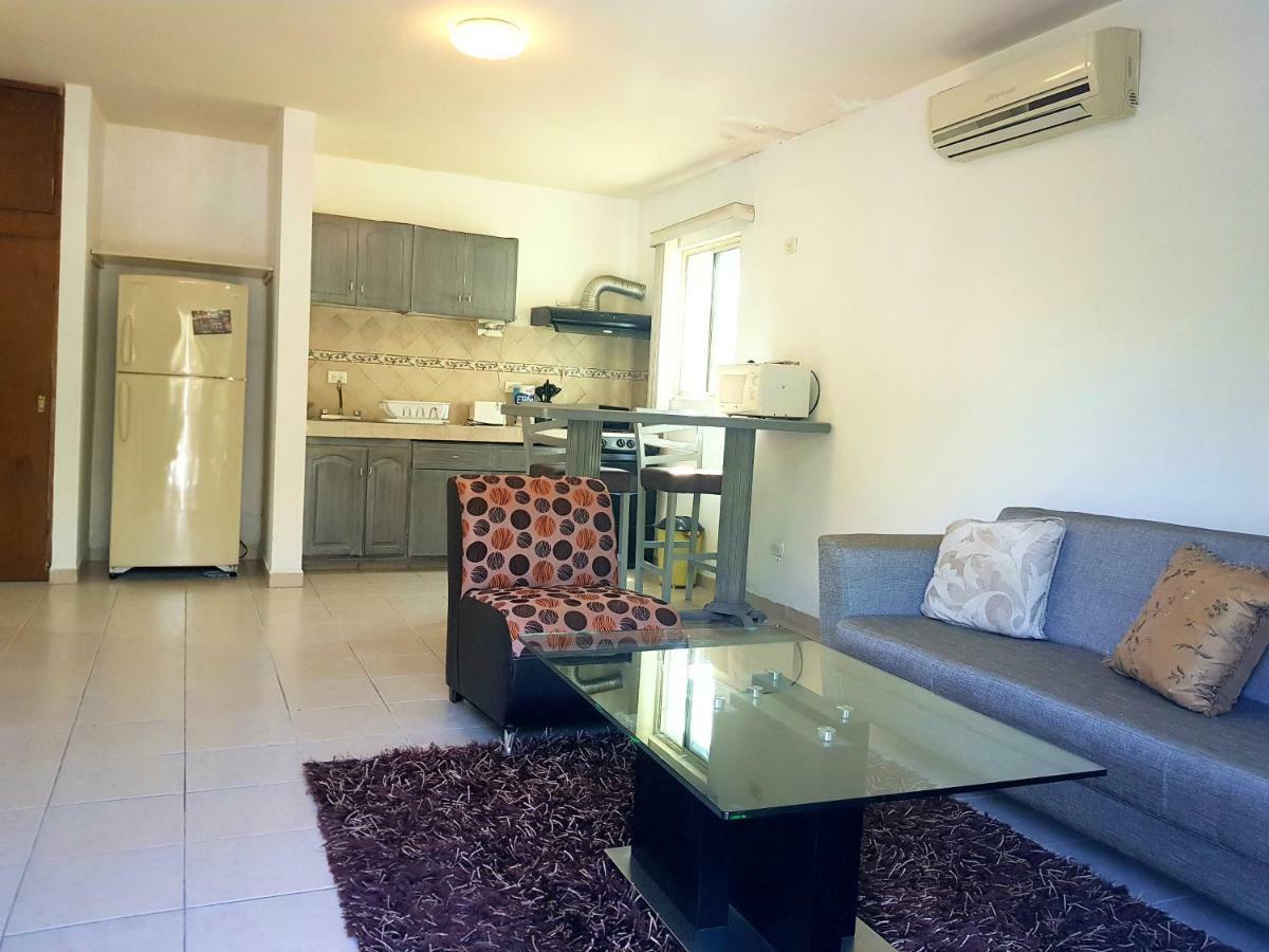 Contry La Silla Zona Tec - Nuevo Sur Apartamento *